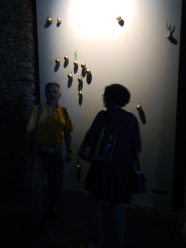 DSCN1340