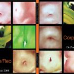 cover2008